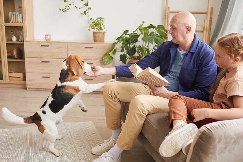 Side view portrait of senior man playing with dog while enjoying reading in living room