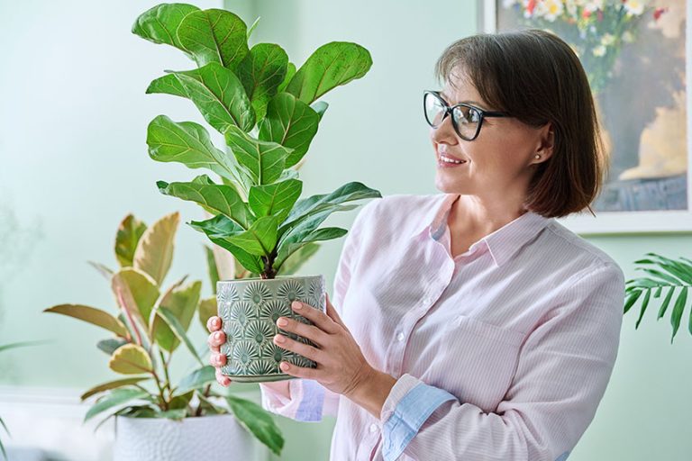4 Tips To Start Your First Indoor Garden In Senior Apartments