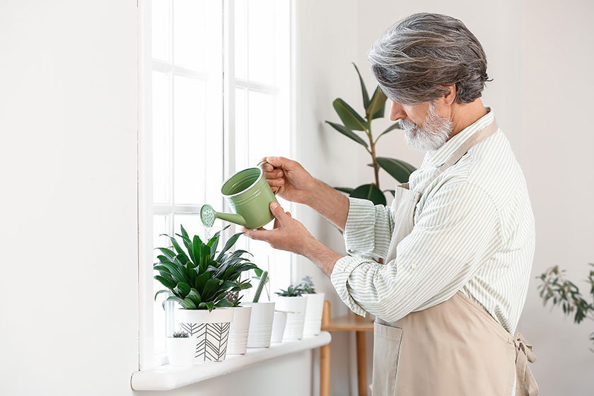 6 Fun Activities To Do Alone While Staying In A Senior Care Home In Blue Ridge, VA