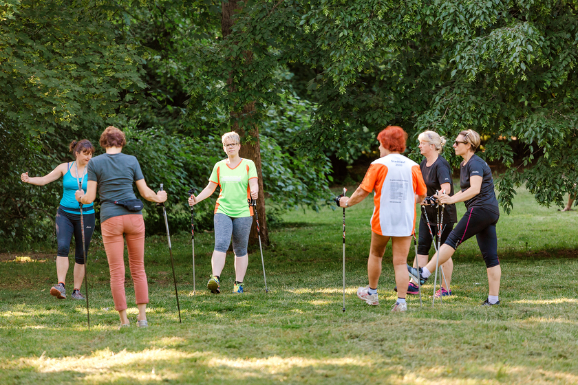 22 MAY 2018, LEIPZIG, GERMANY: Group of Senior women doing a series of warm-up exercises with walking poles before nordic walking in park