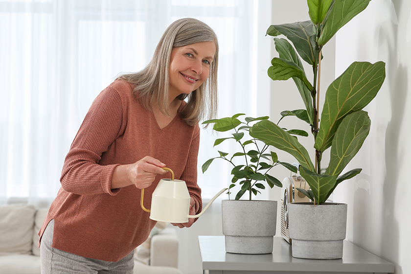 senior-woman-watering-beautiful-potted-houseplants